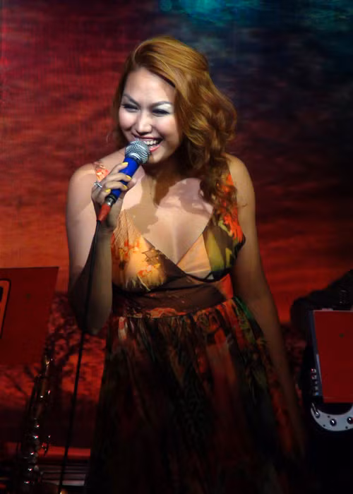 Cũng trong năm 2008, Phi Thanh Vân lấn sân ca hát. Tuy nhiên, giọng hát của cô không nhận được sự ủng hộ của nhiều khán giả. Thậm chí, bài hát “Da nâu” của Phi Thanh Vân từng vấp phải những ý kiến trái chiều. (Ảnh: Đời sống pháp luật) 