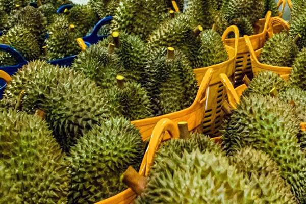 Giá sầu riêng chỉ 70.000 đồng/kg, táo Mỹ hơn 40.000 đồng/kg Gia sau rieng chi 70.000 dong/kg, tao My hon 40.000 dong/kg