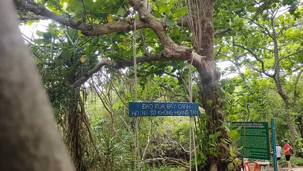 Con Dao trien khai du lich xanh hut khach-Hinh-2