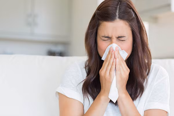 Hoa ngọc lan không chỉ kết hợp với các vị thuốc khác mà còn để hãm trà uống rất tốt. Hoặc dùng làm bài thuốc chữa viêm xoang: Hoa ngọc lan sao khô, tán bột để cho người bệnh hít hoặc ngửi ngày 3 lần. Ảnh: Sumhevi.