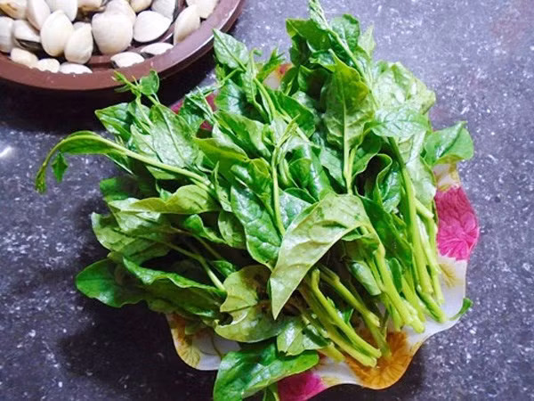 Rau mùng tơi: Rau này có công dụng thanh nhiệt, nhuận tràng và giải độc. Người thường xuyên bị mắc các chứng nóng trong nên thường xuyên ăn canh mùng tơi nấu cua đồng sẽ có tác dụng. Ảnh: Baomoi.