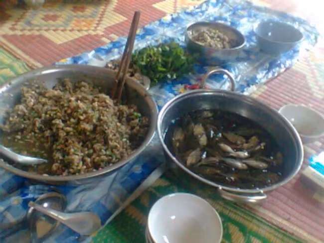 Y học đã chứng minh rằng, những loại ký sinh trùng, giun sán nhiễm vào người do ăn cá sống sẽ xâm nhập vào cơ thể, gây bất lợi cho gan, các cơ quan nội tạng làm bạn nhiễm giun sán. Ảnh: Dacsanmiennui.