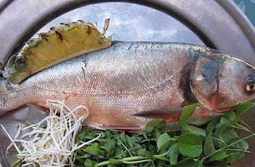 Ăn cá khi bị ho cũng không tốt cho sức khỏe vì một số loại cá có chứa nhiều histamine. Nếu bạn ăn cá và đưa chất này vào cơ thể quá nhiều nó sẽ xâm nhập vào quá trình tuần hoàn máu, gây ra hiện tượng dị ứng với histamine. Ảnh: Songkhoe.