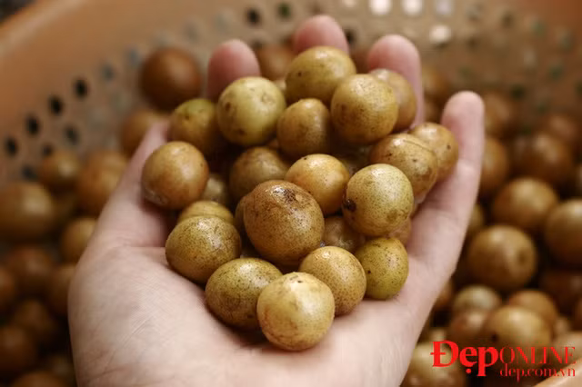 Bên cạnh những bài thuốc từ quả hồng bì bạn còn có thể dùng rễ cây hồng bì chữ cảm mạo, thấp khớp, dùng cho phụ nữ sau đẻ. Ảnh: Deponline.