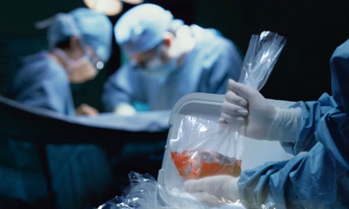 Mới đây, theo thông báo của Trung tâm Điều phối ghép tạng quốc gia thì đội ngũ chuyên gia ghép tạng quốc gia đã sẵn sàng thực hiện nhiều phẫu thuật ghép bộ phận cơ thể người mới chưa từng thực hiện trước đây.