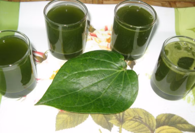 Uống thuốc trước khi ăn sáng khoảng nửa tiếng hoặc 1 tiếng để cho thuốc có thời gian hấp thụ vào cơ thể, bài thuốc này nên kiên trì sử dụng trong thời gian ít nhất là 1 tuần. Ảnh: Diễn đàn sức khỏe 24G.