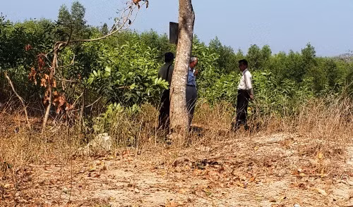 Toan canh vu an oan ong Huynh Van Nen-Hinh-8