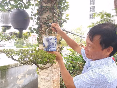 Với nghệ nhân Lê Thạnh, chơi cây cảnh không phải để kinh doanh mà phải biết tận hưởng giá trị, độc lạ của nó. Ảnh: Dân Việt