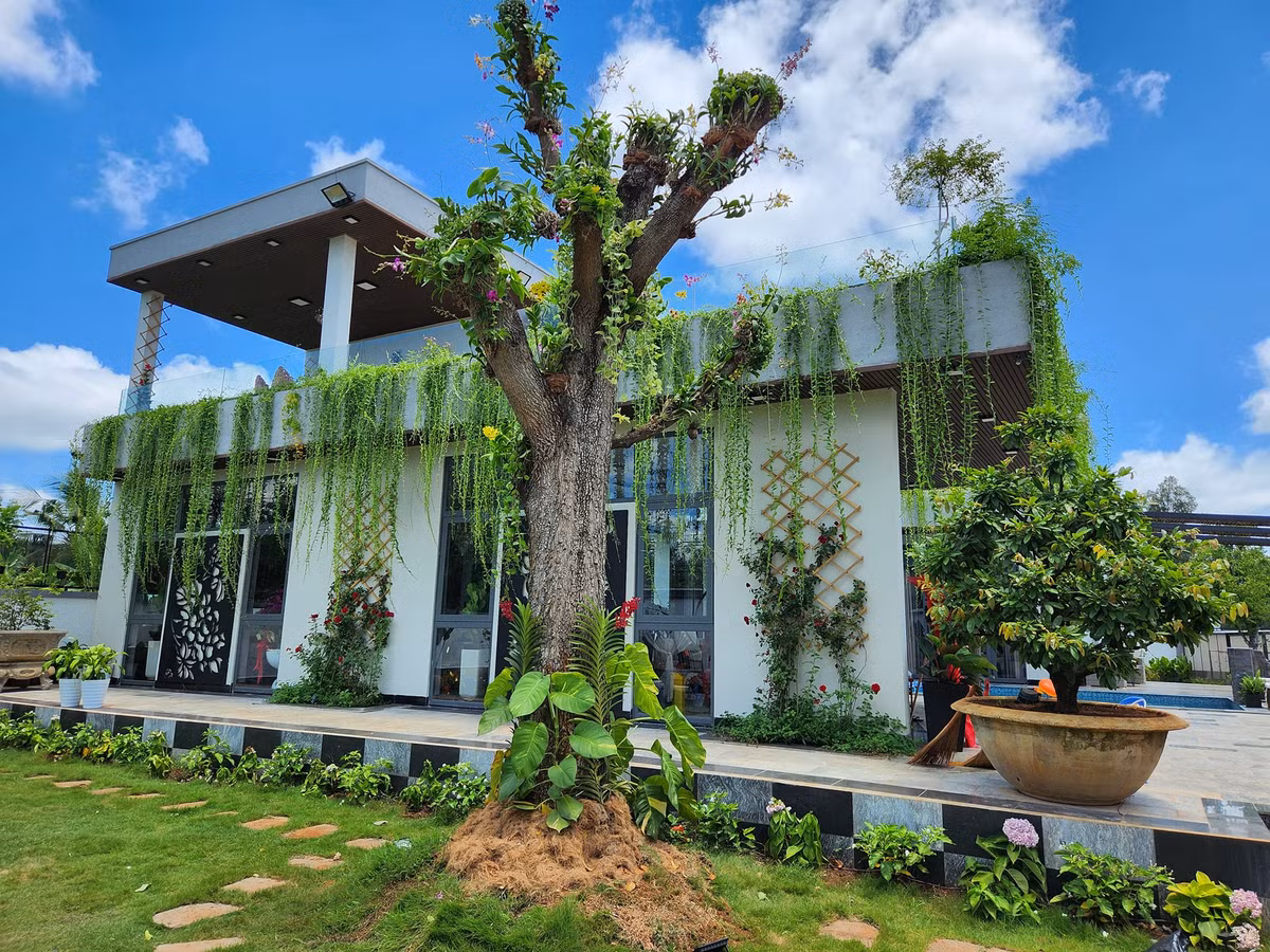 Trên trang cá nhân, ca sĩ Quách Thành Danh khoe căn biệt thự mới vừa hoàn thiện tại Bình Chánh (TP HCM). Ảnh: FBNV