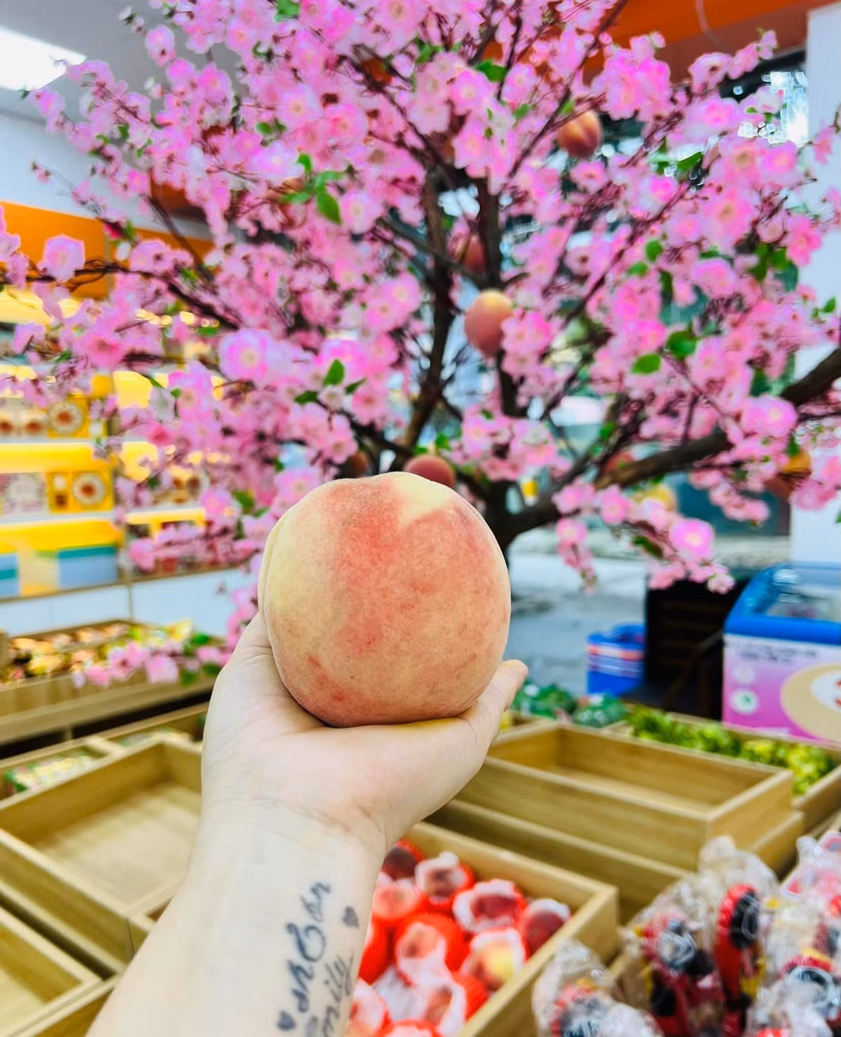 Loại đào này được gọi là đào tiên Bắc Kinh hay đào đỏ Yamanashi giống Nhật trồng tại Trung Quốc. Đầu mùa, loại đào này có giá tới 500.000 đồng/thùng 9 quả. Ảnh: Facebook