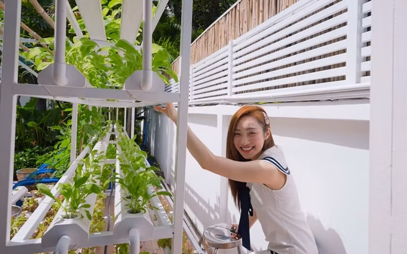 Bà mẹ một con cho biết luôn trân trọng từng khóm rau nhỏ vì đã bỏ công sức gieo trồng.