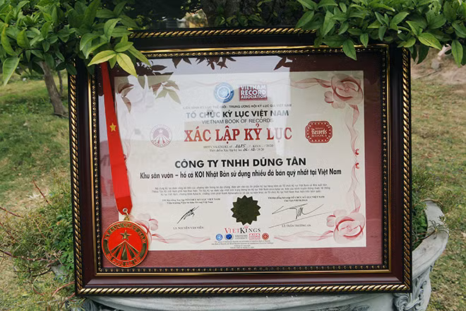 Chính nhờ sự chịu chơi này, ngày 6/12/2020, ông Dũng đã được tổ chức Guiness Việt Nam xác nhận kỉ lục “Khu sân vườn- hồ cá Koi Nhật Bản sử dụng nhiều đá bán quý nhất Việt Nam”. Ảnh: Dân Việt
