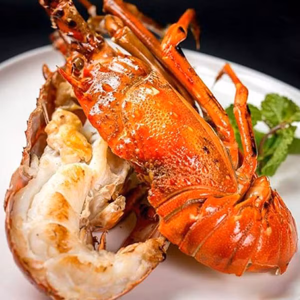 Vào những năm 1880, nhu cầu tăng mạnh trong khi nguồn cung giảm dẫn đến tình trạng giá cả tăng vọt khiến tôm hùm trở thành một món hàng xa xỉ. Ảnh: Haisancuabien