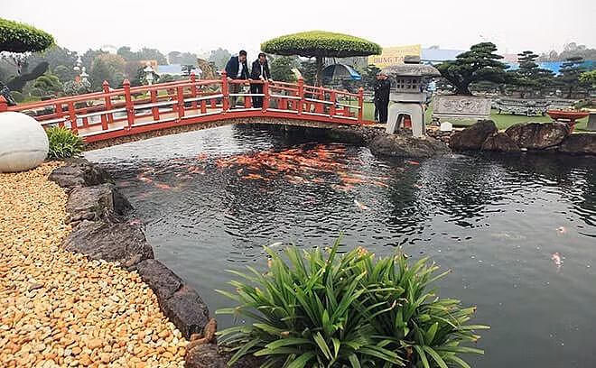 Một đại gia ở Thái Nguyên cũng đầu tư 20 tỷ đồng để làm hồ cá Koi 500 con thuần chủng, dùng hàng nghìn tấn đá bán quý xác lập kỷ lục Việt Nam. Ảnh: Thuonghieusanpham