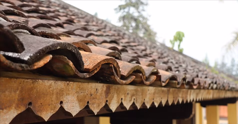 Đồng thời không làm mất đi sự sự cổ kính, rêu phong của thời gian. Ảnh: Lao động