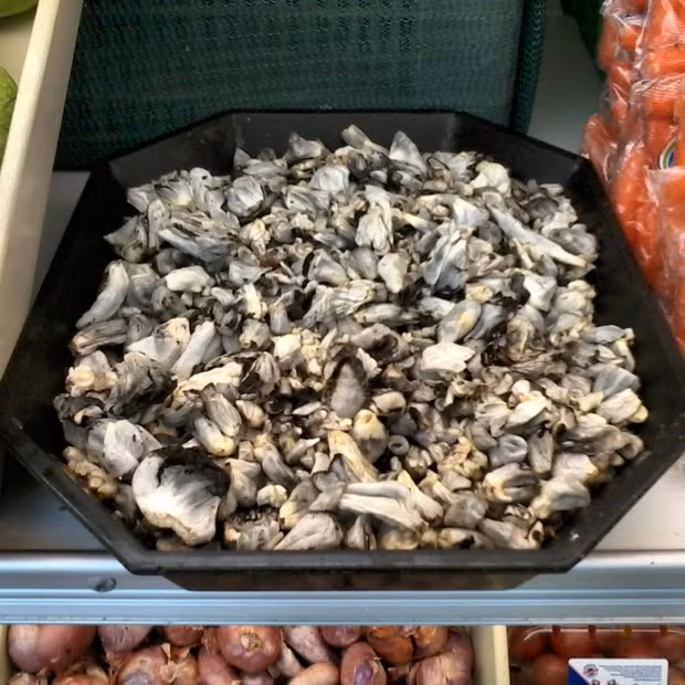 Nấu chín, huitlacoche chuyển sang màu đen và hơi sền sệt. Người ta thường thêm tỏi, ớt vào món ăn để tăng thêm hương vị đậm đà cho món ăn. Ảnh: Getty