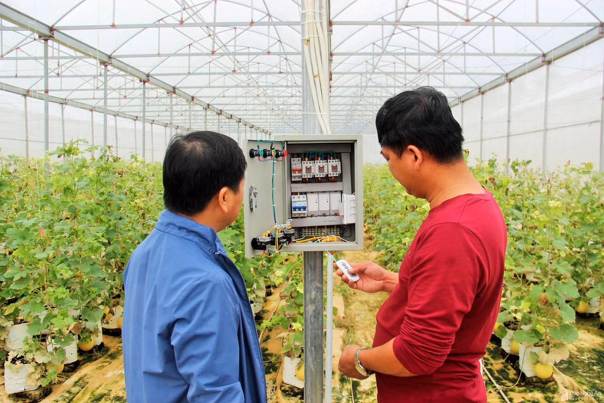 Điểm nhấn của trang trại là phát triển mô hình nông nghiệp theo hướng hữu cơ, đưa ra những sản phẩm nông nghiệp sạch. Ảnh: Báo Nghệ An