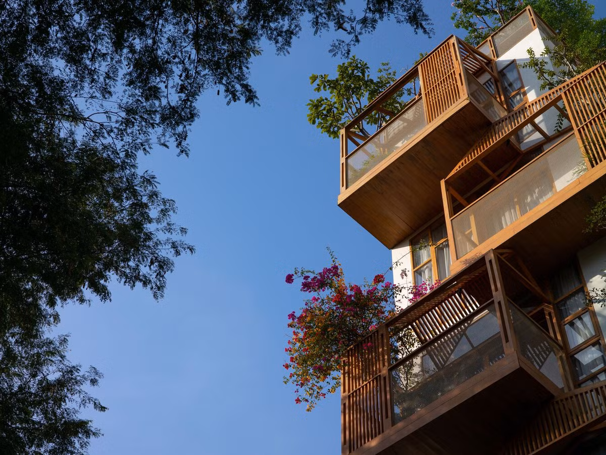 Hệ thống lam gỗ kết hợp cây xanh phía trước mặt tiền giúp lọc bớt bụi, khói và tiếng ồn từ đường phố, đồng thời tránh được ánh nắng trực tiếp từ hướng Tây.