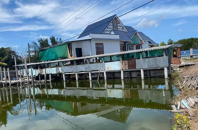 Ngoài phần đất xây nhà, Quách Ngọc Ngoan đào ao thả cá, làm chuồng trại nuôi chồn giống bán. Ảnh: FBNV