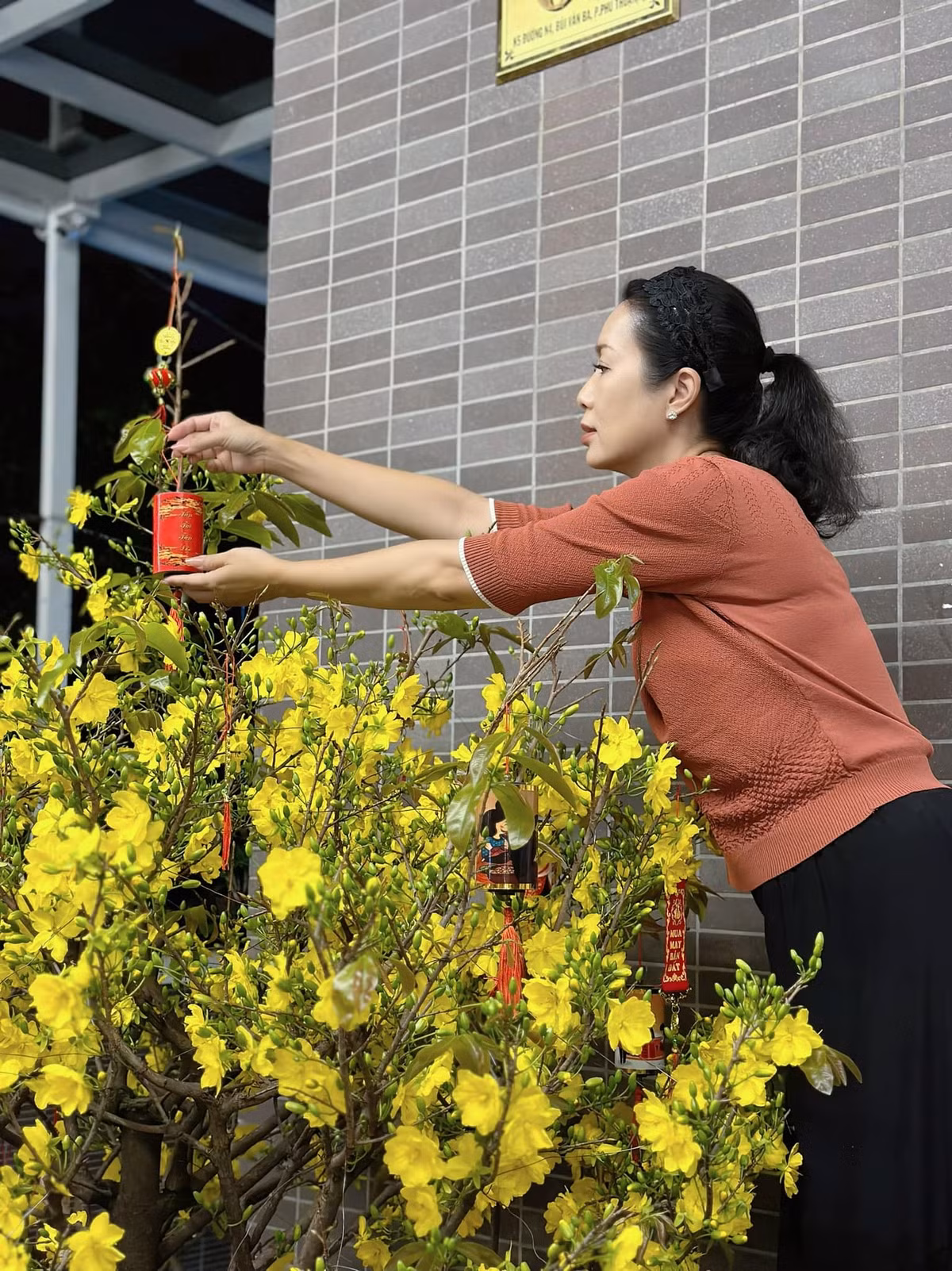 Ngày Tết, nàng hậu trang trí cho cây mai vàng thêm bắt mắt.