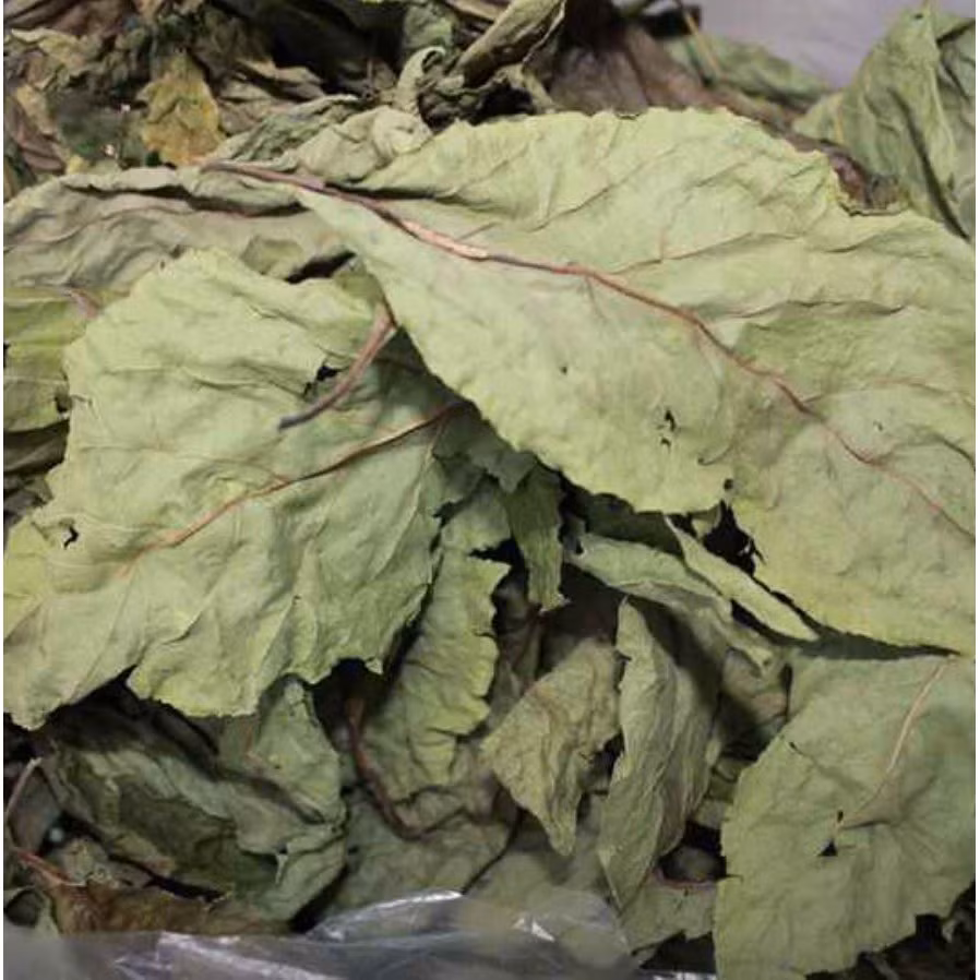 Lá dâu tằm khô có giá từ 35.000 - 50.000 đồng/kg. Loại lá này được cho là giúp cải thiện trí nhớ và chữa mất ngủ. Ảnh: Shopee