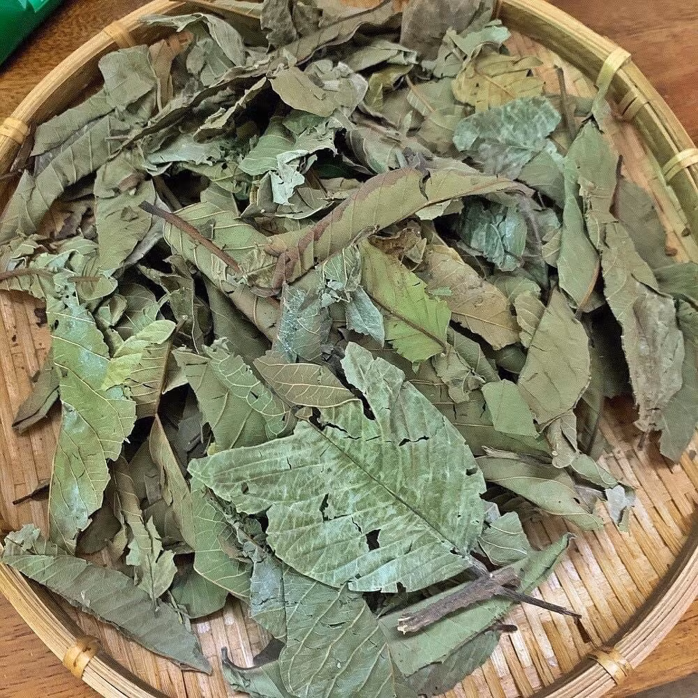 Lá ổi thường được nhiều chị em đặt mua vì có công dụng giảm cân. Có ngày, thương lái bán được cả chục cân lá ổi. Ảnh: Lazada