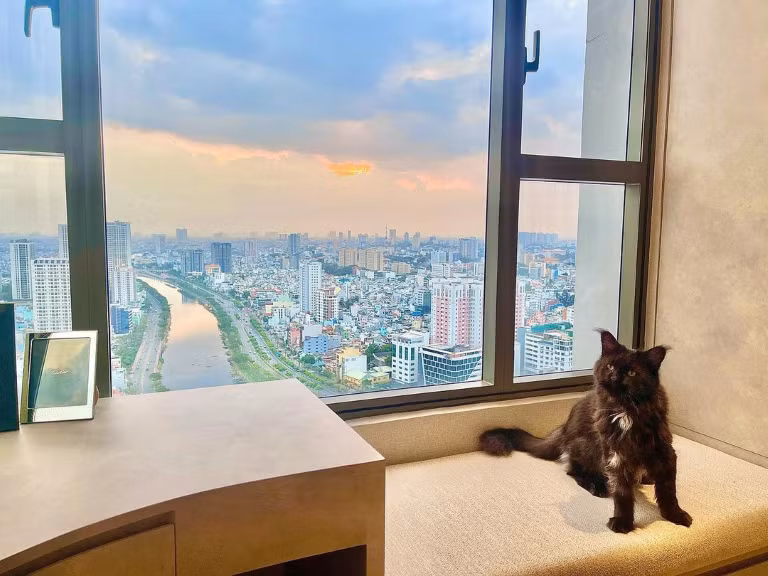 Dù khá kín tiếng nhưng Trần Thành - Hari Won đôi lần vô tình để lộ những hình ảnh về tổ ấm của mình. Cặp đôi đang sống trong căn hộ ở trung tâm Sài Sòn, được cho là không dưới 20 tỷ đồng.