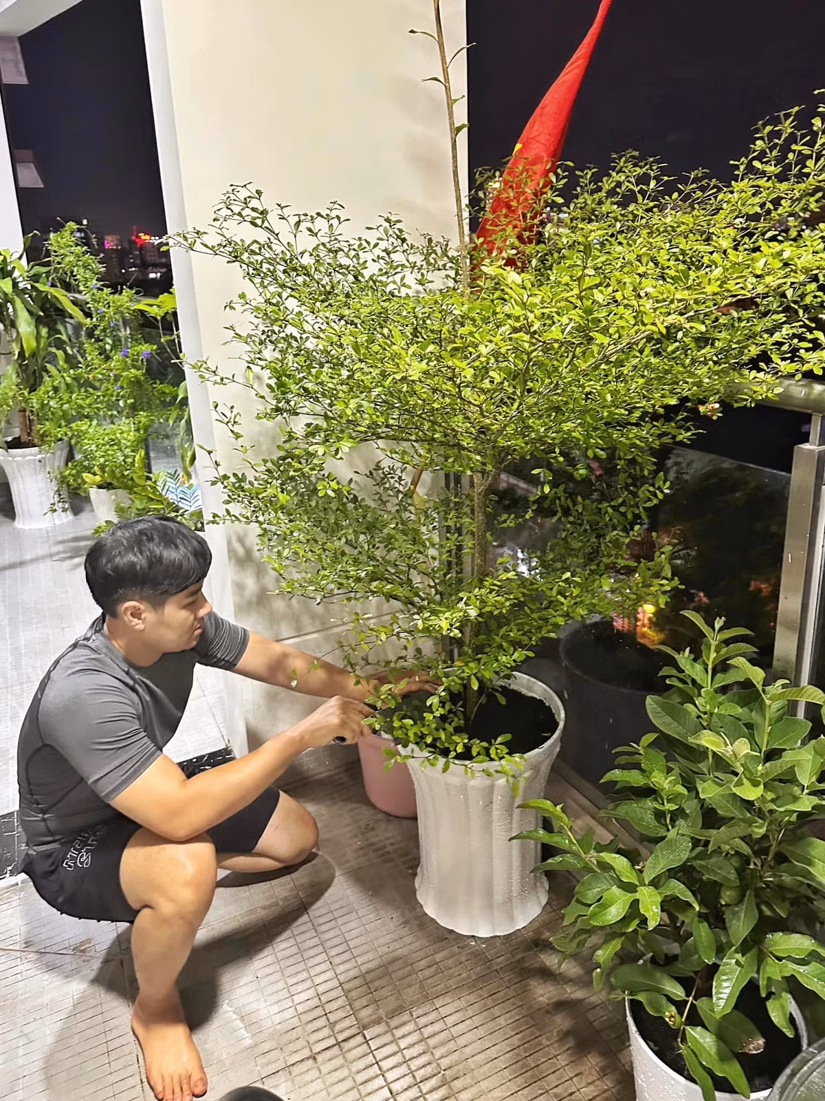 Mới dây, nam MC bất ngờ khoe ảnh ban công rộng rãi trong căn hộ của mình khiến nhiều khán giả thích thú.