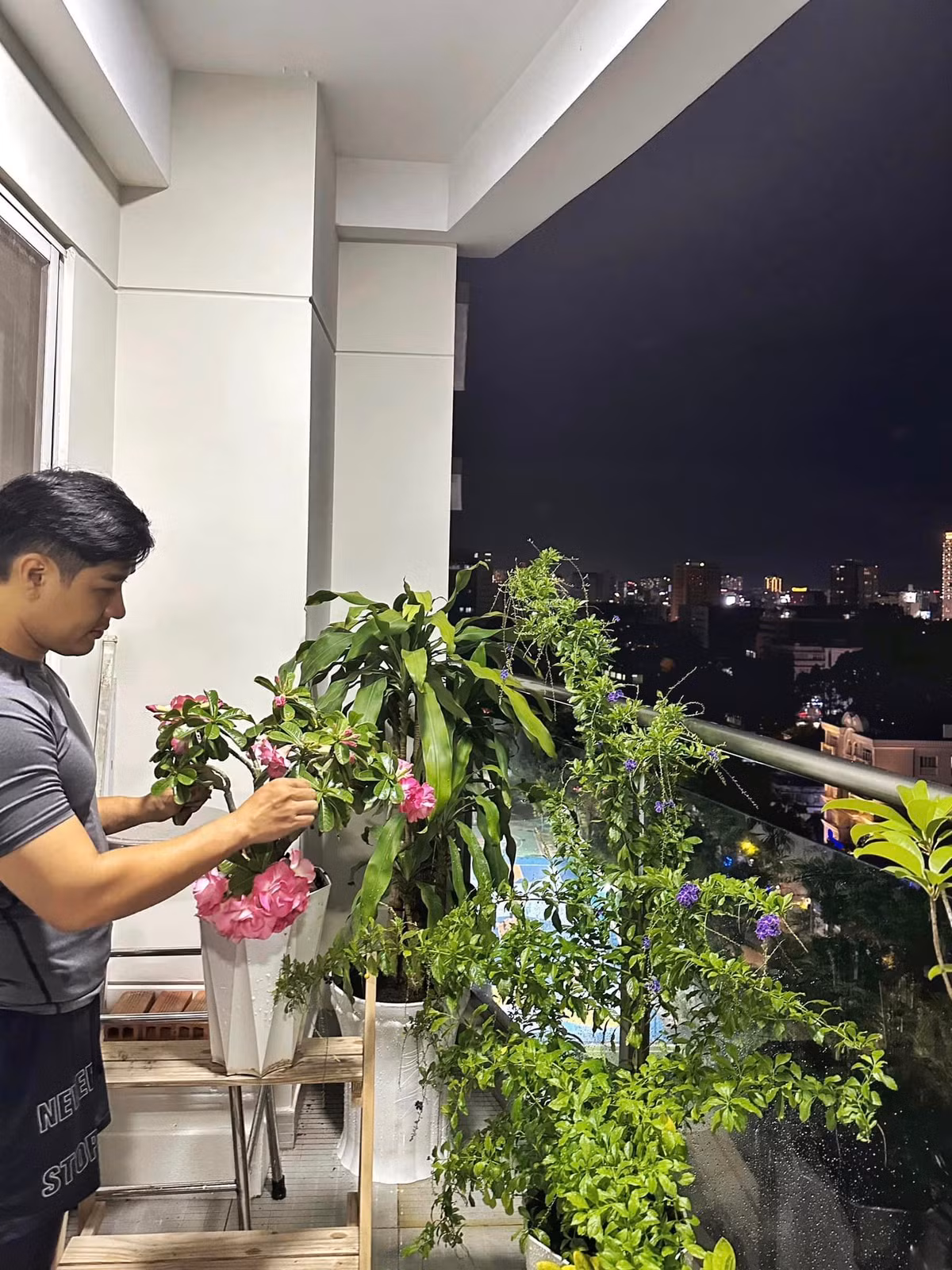 Để có ban công cây xanh đẹp, ra hoa, kết trái...nam MC đã không ngại tối khuya chăm sóc, tỉa tót.