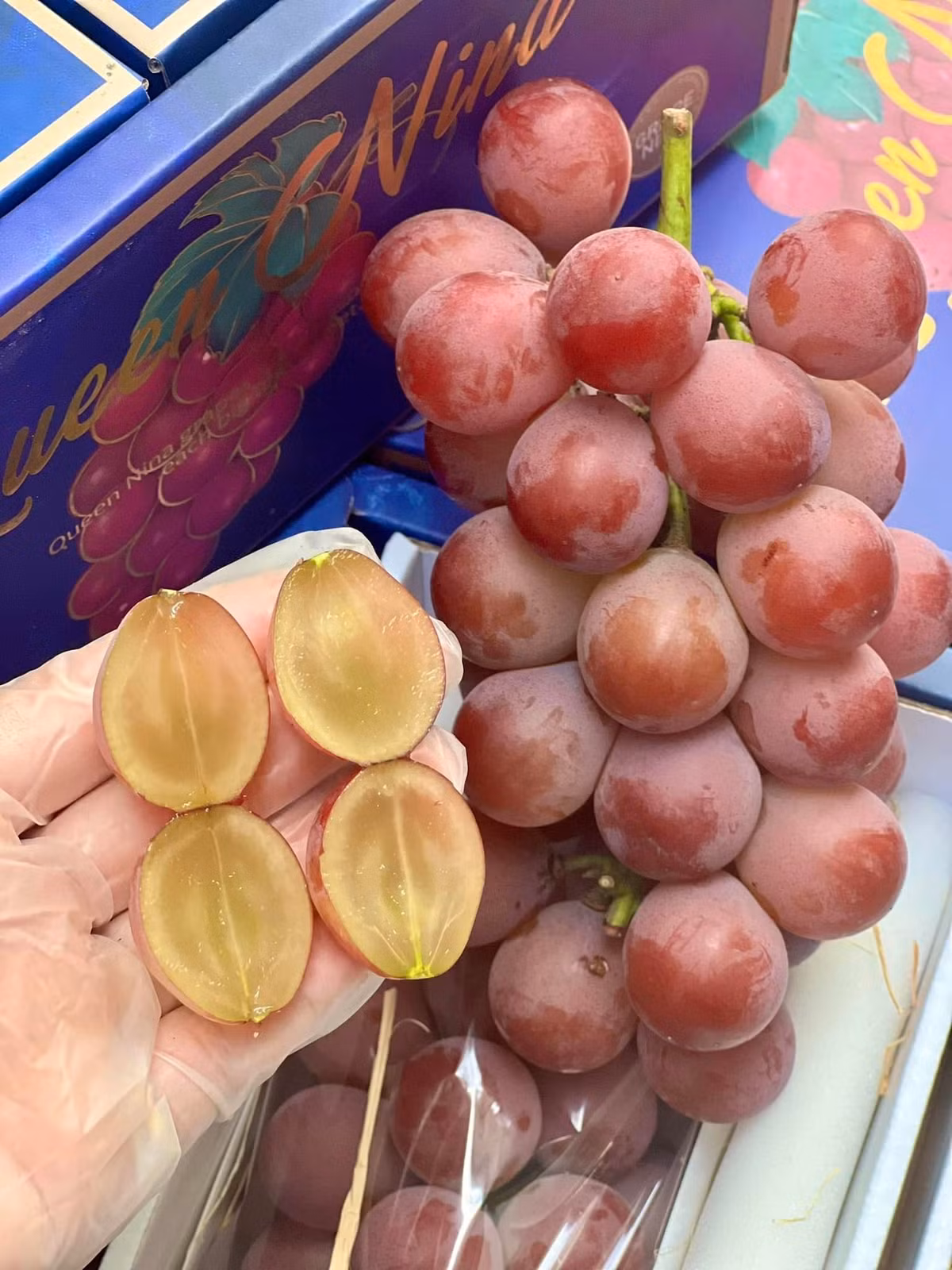 Theo các tiểu thương, nho Ruby Roman giá rẻ đang bán nhiều trên chợ mạng là giống Nhật trồng tại Trung Quốc (là dòng nho Queen Nina). Ảnh: FB Trần Thị Tú