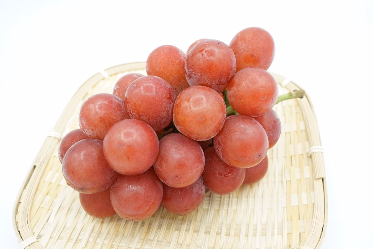 Lớp vỏ ngoài có vị nho mẫu đơn xanh, lớp trong cùng lại có vị rượu, thịt nho cũng có hai màu rõ rệt. Ảnh: TasteAtlas
