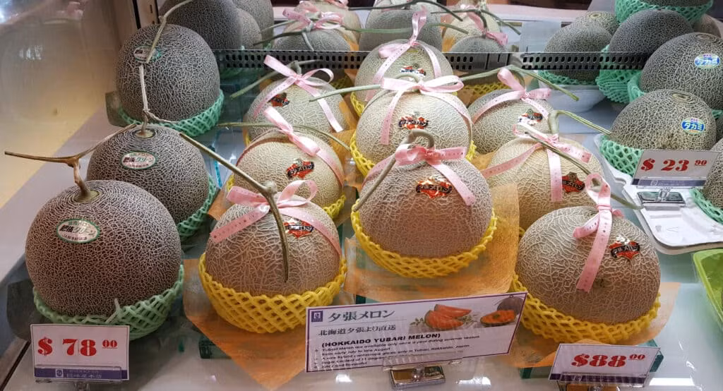 Yubari King là một giống dưa lưới quý hiếm nằm trong danh sách những giống thực vật cần được bảo tồn tại Nhật Bản. Thời kì phong kiến Nhật Bản, chỉ có các vua chúa hay người có địa vị cao trong xã hội mới được thưởng thức món dưa thơm ngon này. Ảnh: Getty