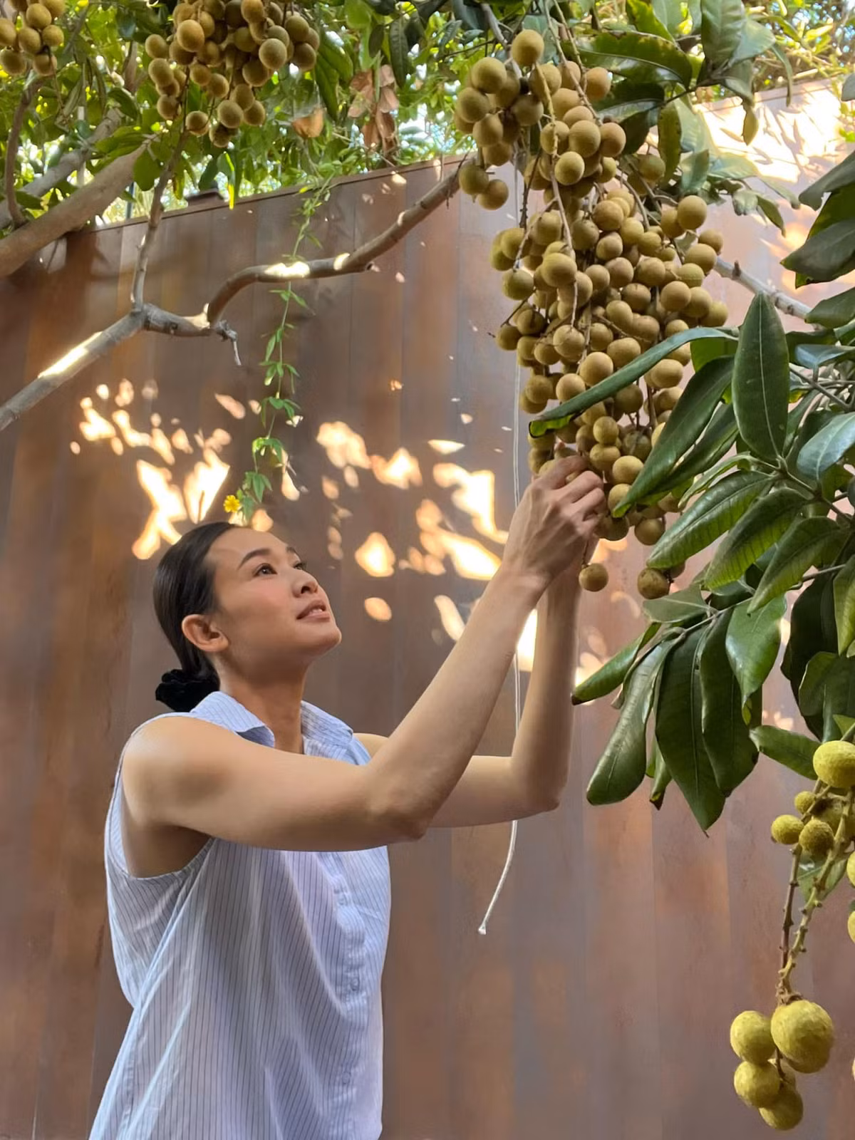 Qua đây, khán giả chú ý đến khu vườn rộng rãi trong biệt thự của gia đình nàng Hậu.