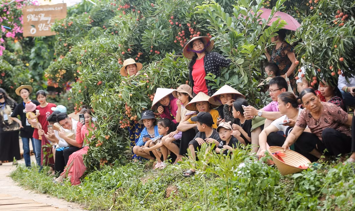 Vai thieu Bac Giang vao thiet ke thoi trang doc la-Hinh-6