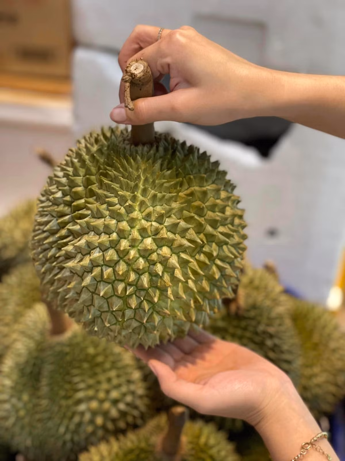 Quả sầu riêng gai đen hình tròn, có trọng lượng trung bình từ 1,8-2,5kg/trái. Ảnh: Facebook
