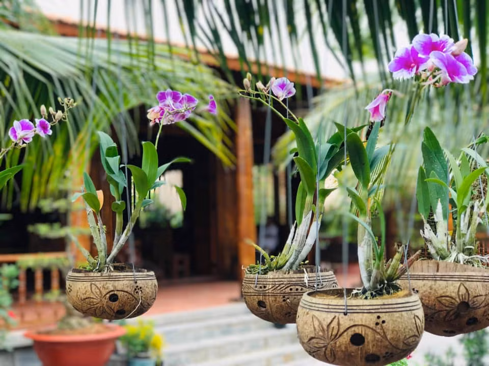 Cây dừa được ngâm nước suốt 1 năm rồi xử lý thuốc mối mọt kỹ lưỡng. Nhờ đó cây có độ bền rất cao, không kém chất liệu từ bê tông cốt thép. Ảnh: Facebook