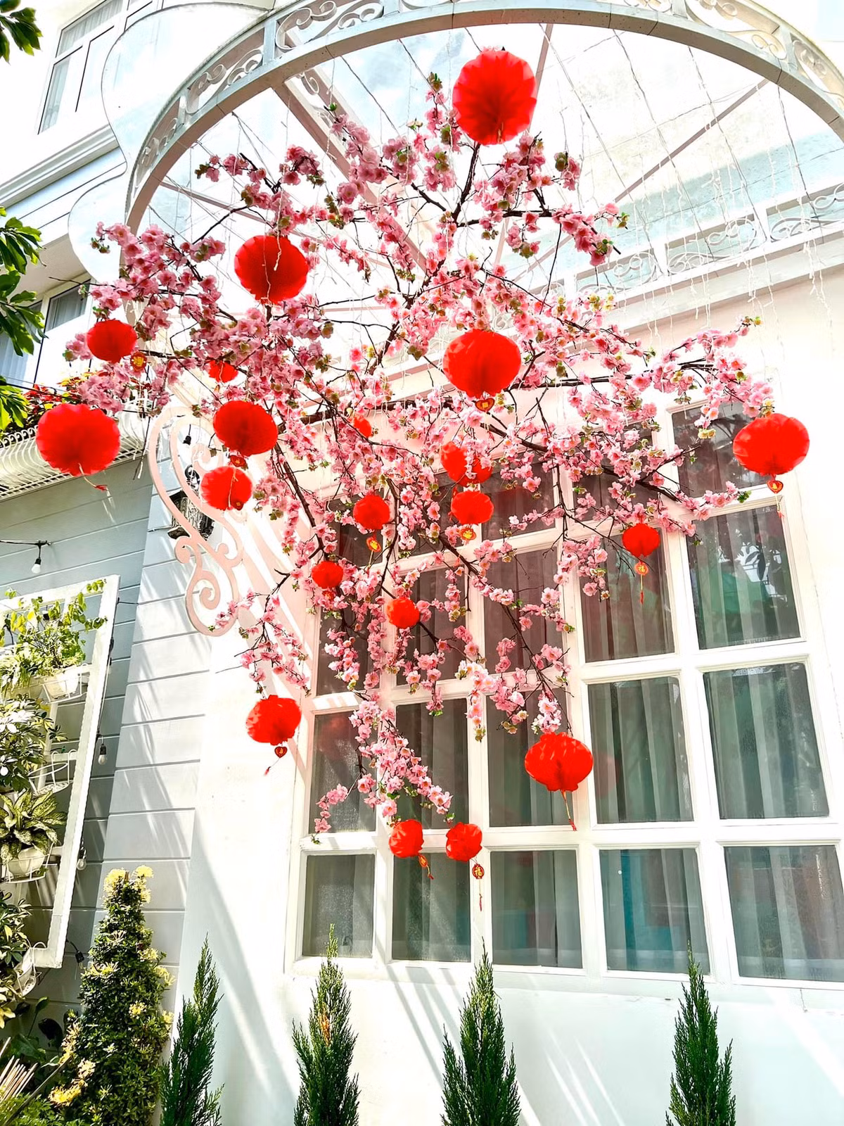 Hai mặt tiền đều treo cành đào giả và đèn lồng đỏ.