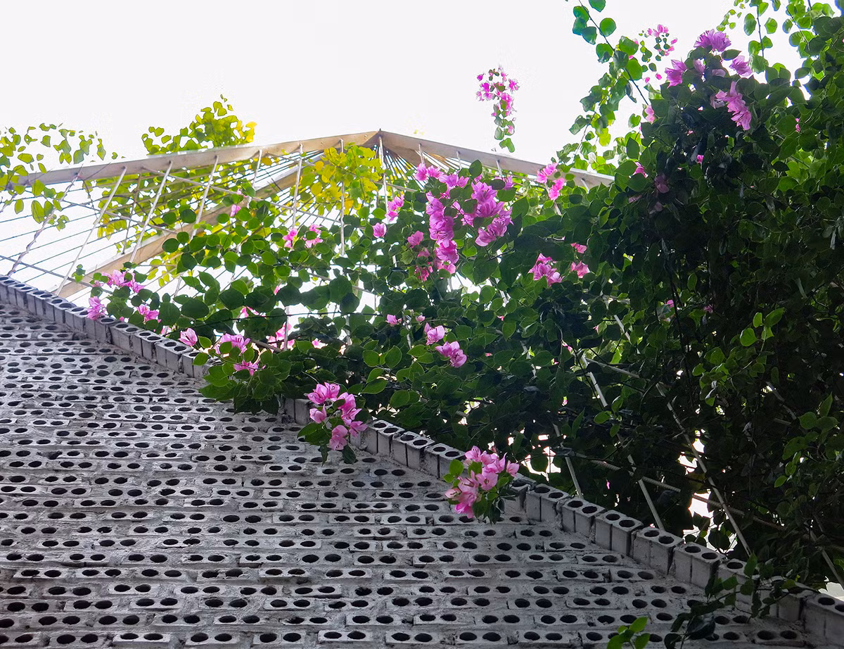 Toạ lạc tại Thạch Bàn (Long Biên, Hà Nội), DAD House nằm trên một mảnh đất nhỏ có diện tích 33m2 với các nhược điểm gặp phải tương tự như các dự án nhà lô khác.