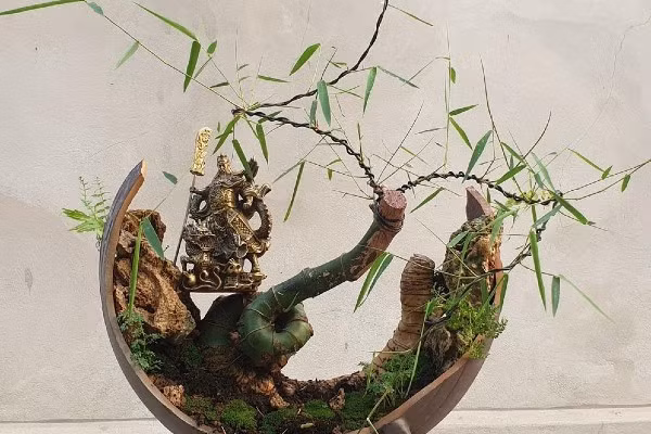 Mỗi cây tre tiểu cảnh lại sở hữu một dấu ấn riêng thể hiện sự khác biệt và cá nhân hoá của nghệ nhân.