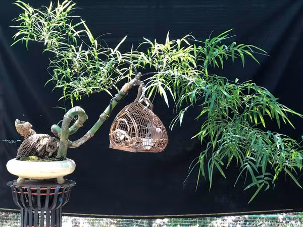 Với những hình dáng "quái dị", nhiều khách sẵn sàng chi vài chục triệu để sở hữu. Nguồn ảnh: FBNV