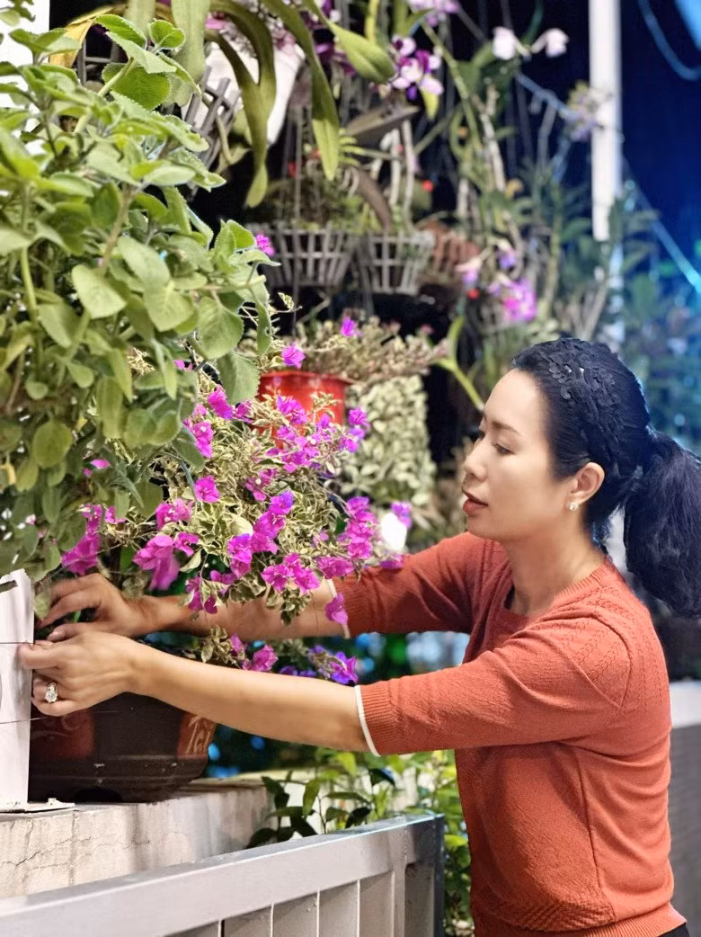 Ngoài cúc, Trịnh Kim Chi còn giăng lối từ cổng vào trong nhà với những loài hoa quen thuộc như cúc tím, cúc mâm xôi, cây mai vàng, hoa giấy hoa đào...