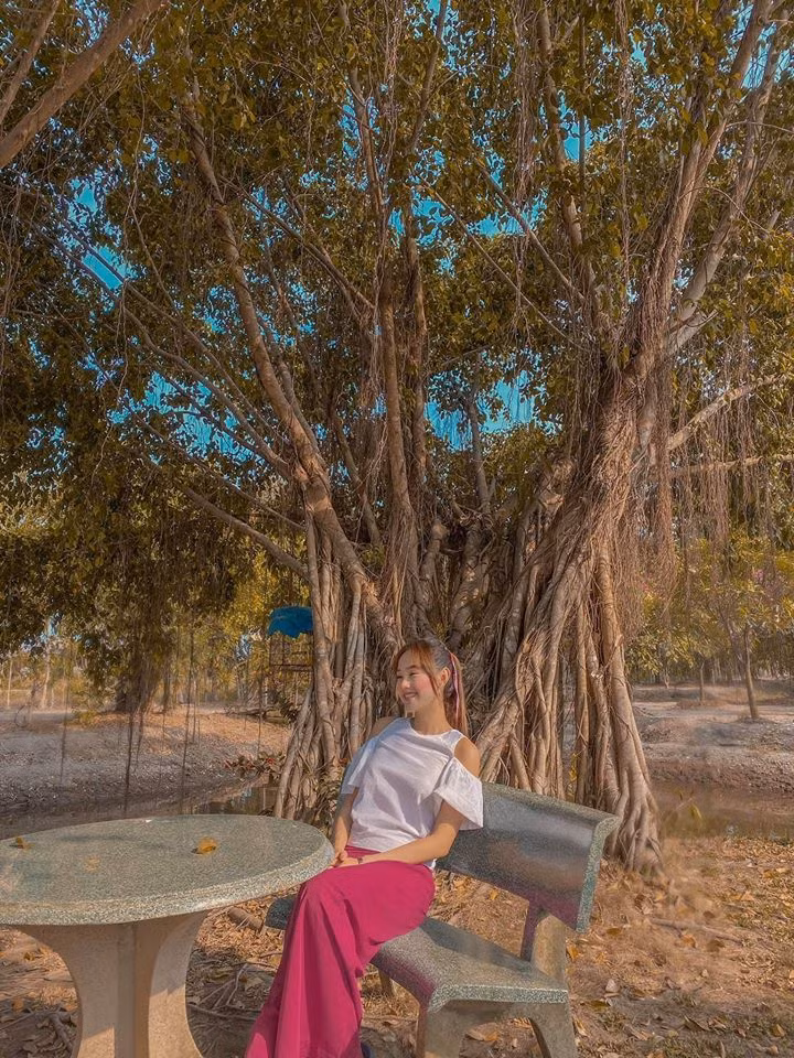 Vì vùng đất nước lợ nên mỗi tháng nữ ca sĩ phải mua rất nhiều nước để tưới cây. Ảnh: FBNV