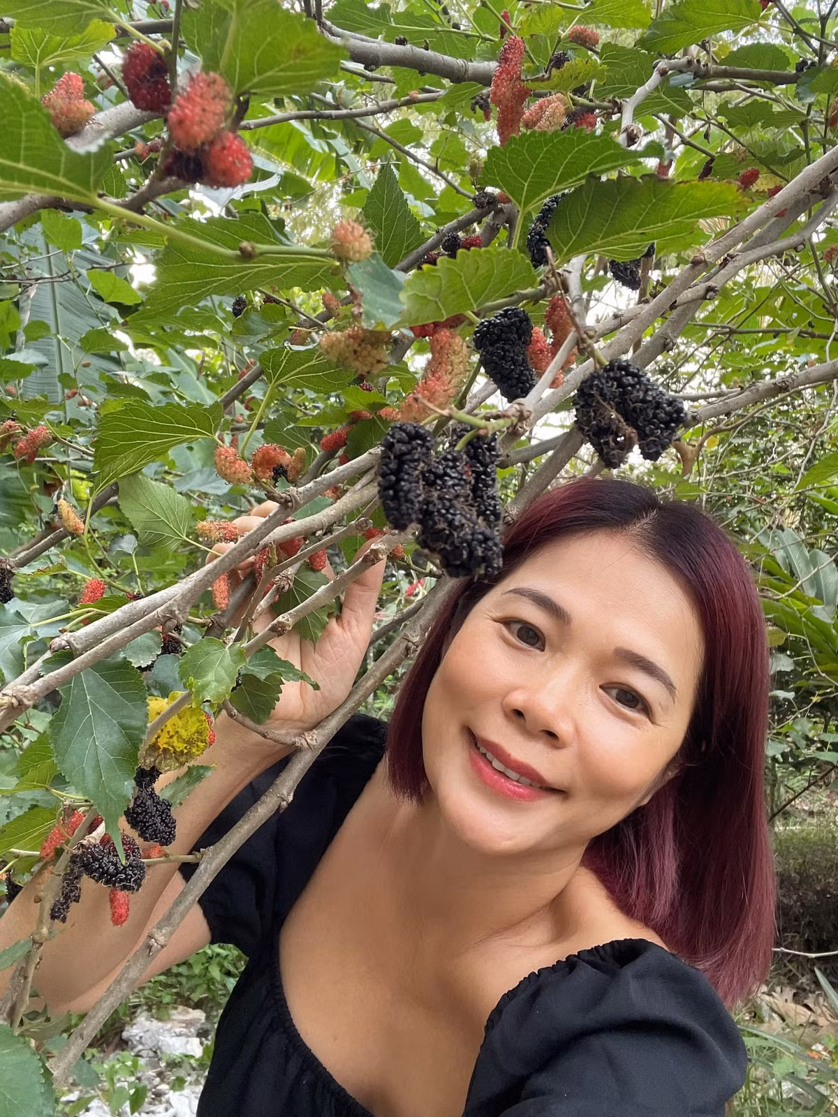 Ngoài hoa, Mỹ Lệ còn trồng rất nhiều cây ăn trái.