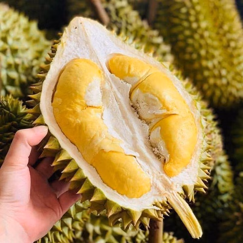 Với trọng lượng mỗi trái dao động từ 2-3kg, một quả sầu riêng Ri6 của Việt Nam có giá từ 822.000 đến 1,23 triệu đồng. Ảnh: Cao Nghệ Fruits