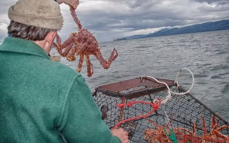 Những đợt sóng lạnh như băng đập vào boong tàu đánh cá có thể khiến người câu trên tàu thường ướt sũng đến tận xương, thậm chí nguy hiểm đến tính mạng. Ảnh: Themostexpensive