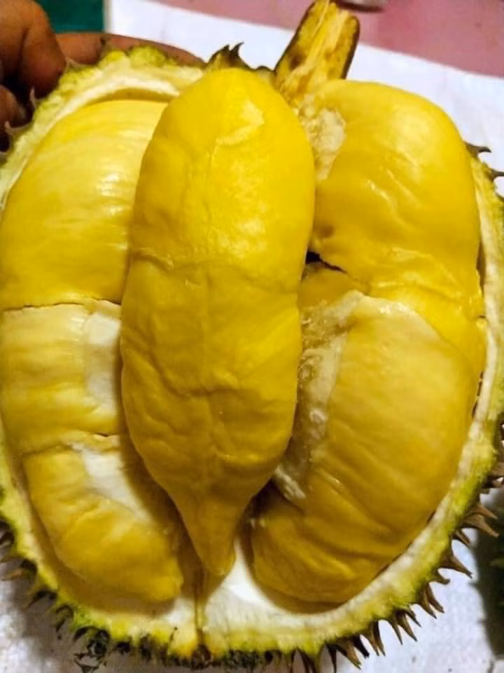 Sầu riêng là đặc sản ở khu vực phía Nam được nhiều người ưa chuộng. Giá sầu riêng cũng không hề rẻ, dao động từ 90. 000 - 130.000 đồng/kg, loại nhập ngoại còn lên 300.000 đồng - 400.000 đồng/kg. Ảnh: Facebook