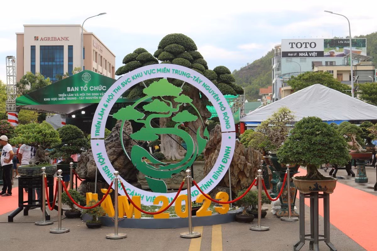 Tại Triển lãm và hội thi sinh vật cảnh khu vực miền Trung - Tây Nguyên mở rộng năm 2023 tại Bình Định mới đây, giới sinh vật cảnh được dịp chiêm ngưỡng hàng loạt cây cảnh độc nhất vô nhị đến từ mọi miền đất nước. Ảnh: Plo