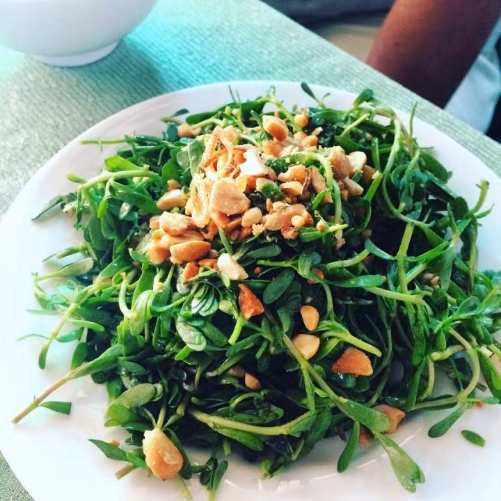 Vì thế, nhiều thời điểm giá loại rau này lên đến gần 100.000 đồng/kg, đắt hơn cả thịt nhưng nhiều người chẳng tiếc tiền để mua cho bằng được. Ảnh minh hoạ