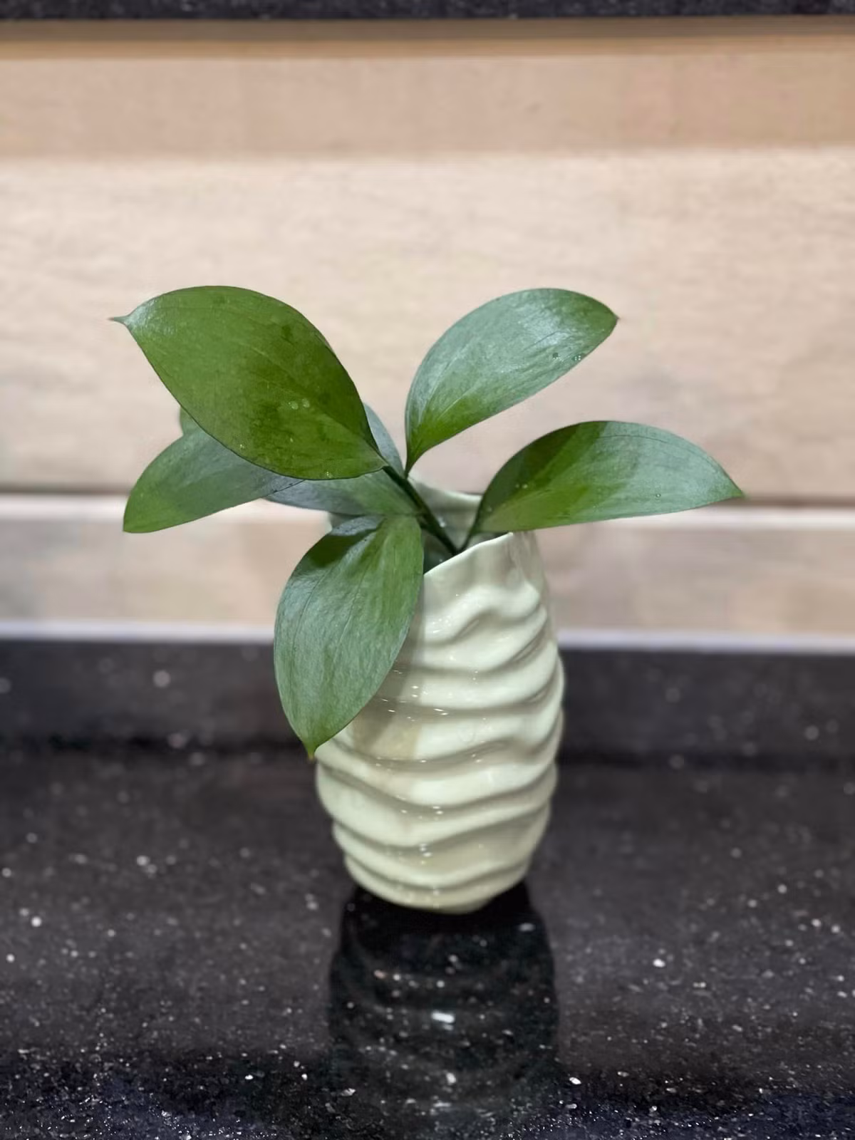 Chỉ một cành cây nhỏ cũng đủ tô điểm không gian nhà thêm xinh xắn.