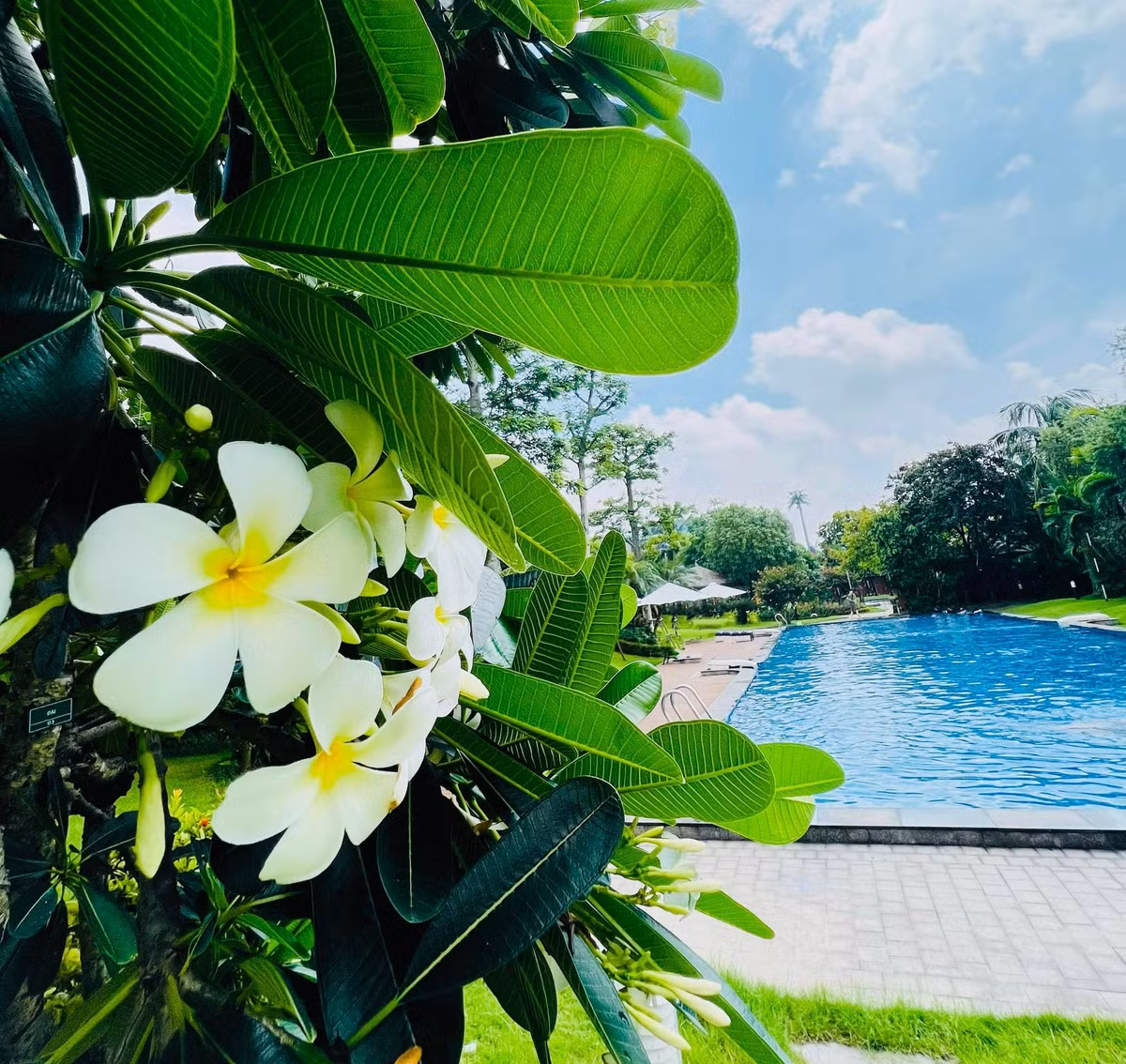 Tuy nhiên, người đẹp cho biết đây là bể bơi trong khu nhà mình. Ảnh: FBNV